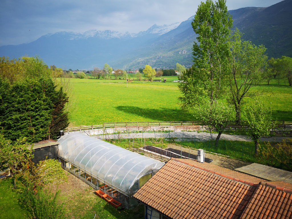 Azienda Agricola Pognante Claudio